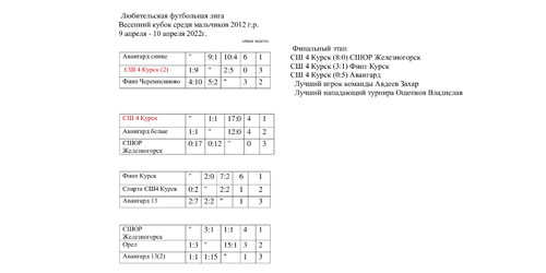Итоги отборочного этапа Всероссийского первенства любительской детской футбольной лиги 