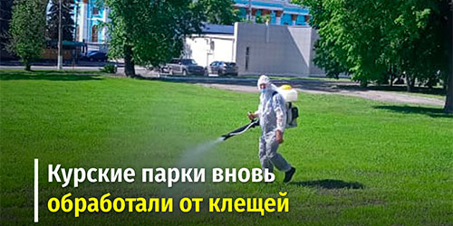 Сегодня в трех парках города Курска началась повторная обработка территории от клещей