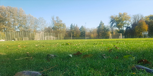 На футбольном поле с натуральным покрытием 